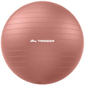Trideer Yoga Ball for Exercise, Pilates, Core & Balance Training, Stability Ball for Pregnancy & Birthing Prep, Physical Therapy, Daily Stretching, Office Chair for Active Sitting, Quick Pump Included